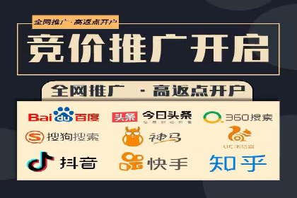专业SEM代运营公司案例分析